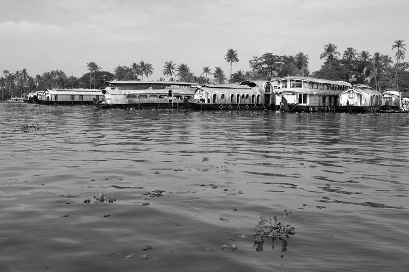 Houseboats releasing untreated sewage - a major source of water pollution in Punnamada Lake in Alappuzha district, Kerala
